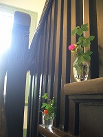 f0065542_15284777.jpg