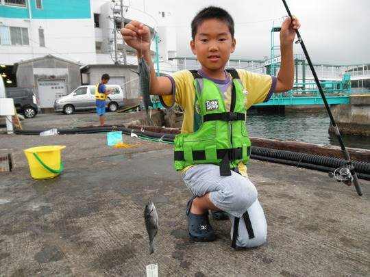 フェリー埠頭サビキ釣り_e0212944_201309.jpg