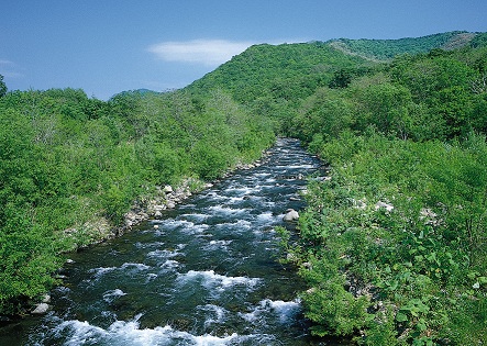 f0184849_20143392.jpg