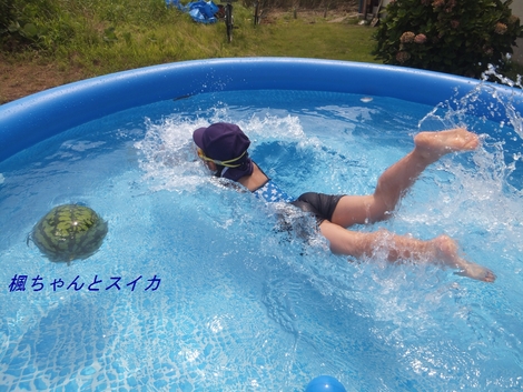 f0002750_20134670.jpg