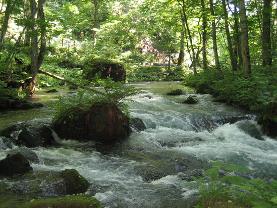 a0029254_19274490.jpg