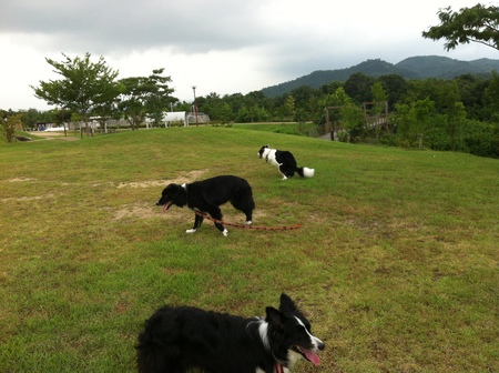 有馬富士公園にて_d0273454_23215439.jpg