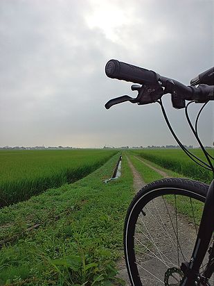 a0096557_916846.jpg