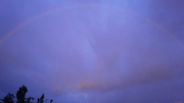 a0174458_93073.jpg