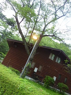 a0165160_9333118.jpg