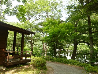 a0165160_949423.jpg