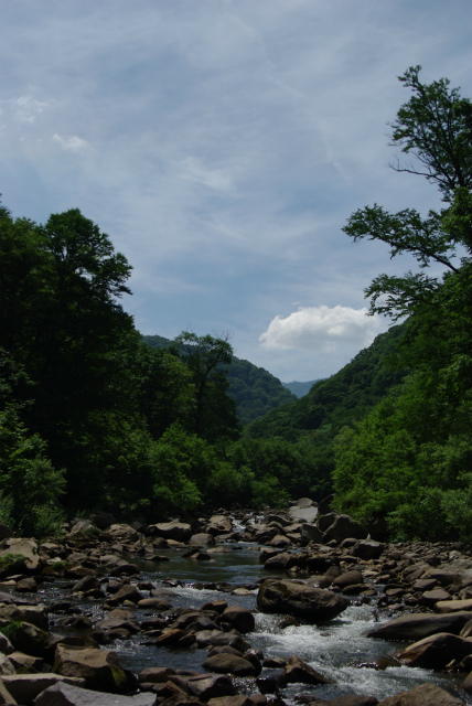 c0240462_0424410.jpg
