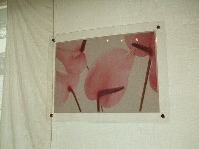 クラバヤシマユミ個展「profile」_b0117564_20233748.jpg