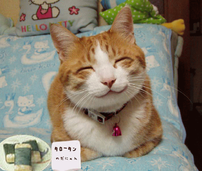 f0150364_16263457.gif