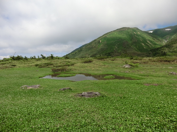 b0185573_16271981.jpg
