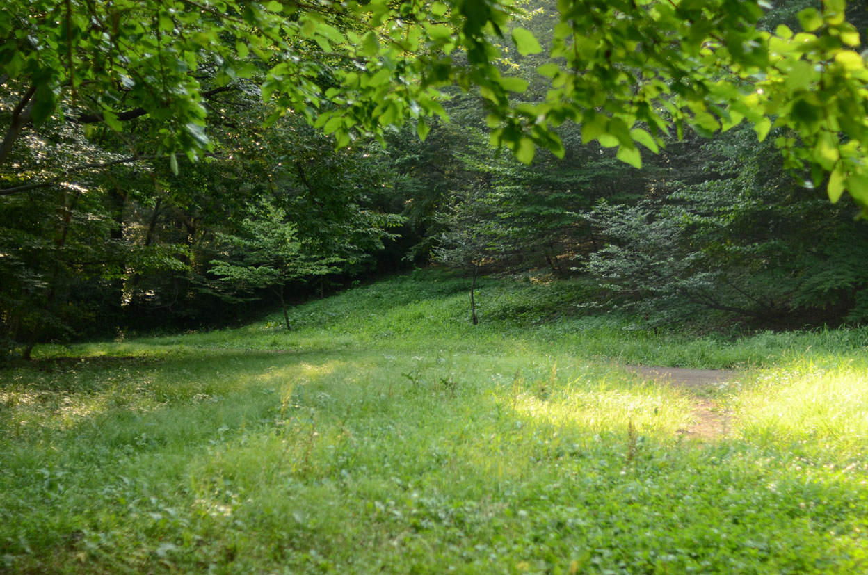 夏の午後_b0194880_214094.jpg