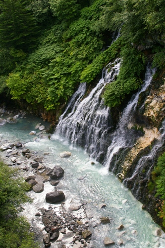 北海道ひとり旅-美瑛編_e0183783_451638.jpg