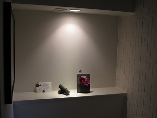 夏は来客のシーズン_d0133485_12105521.jpg
