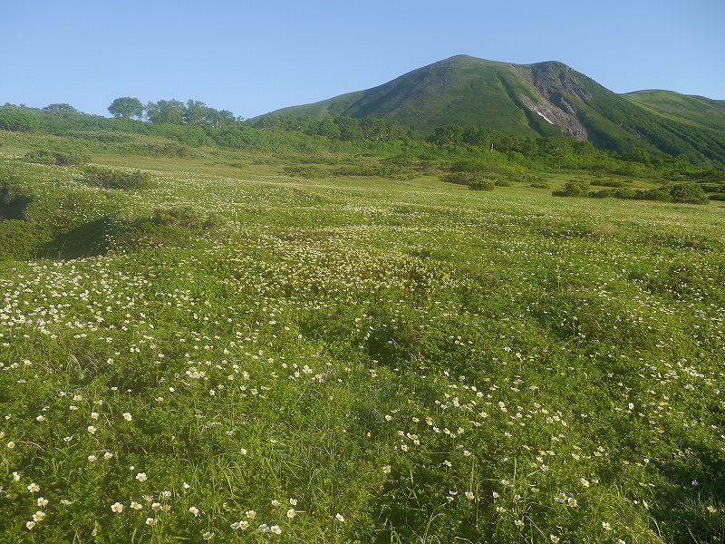 8月8日、高原温泉から忠別岳ピストン－緑岳編－_f0138096_17185012.jpg