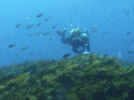e0115199_1756122.jpg
