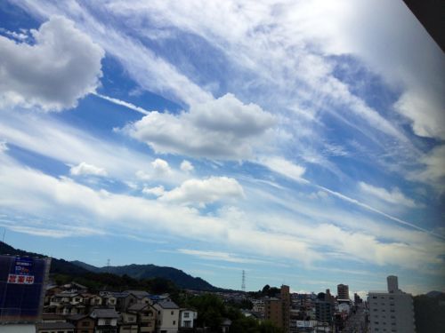 8月6日の朝_a0047200_881351.jpg