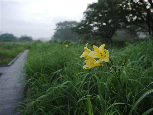 f0224100_8221495.jpg