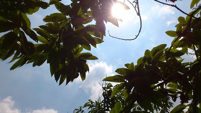 e0270403_1145447.jpg