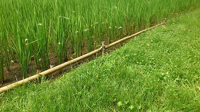e0270403_115406.jpg