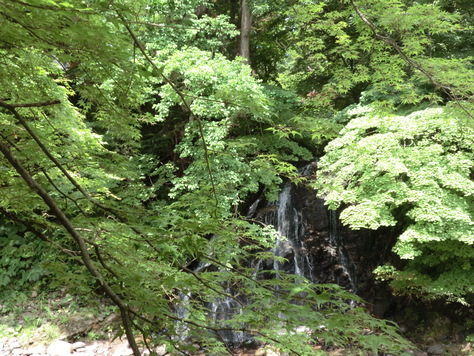 e0242504_6453685.jpg