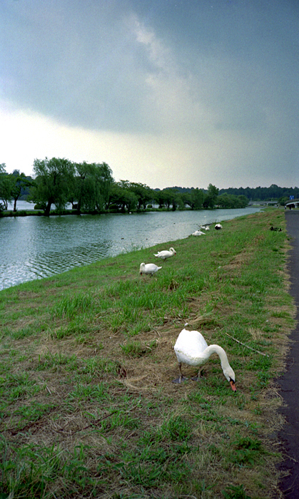 d0127209_238598.jpg