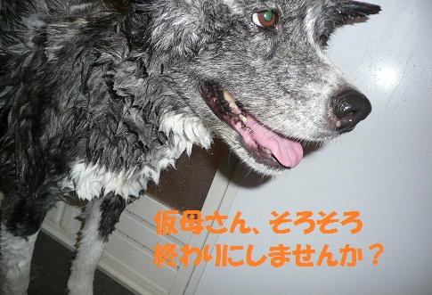 f0121712_17192011.jpg