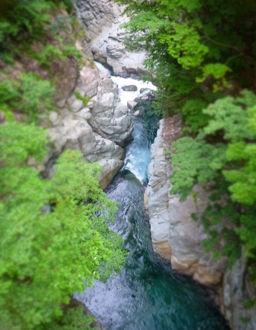 a0236914_8572393.jpg