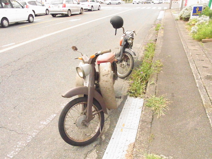 Sunday_d0179518_15225863.jpg