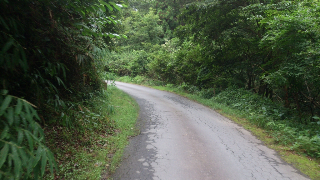 e0171018_2375721.jpg