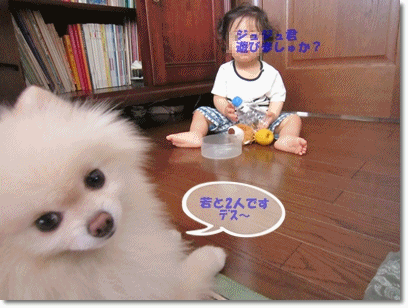 b0167519_0392713.gif