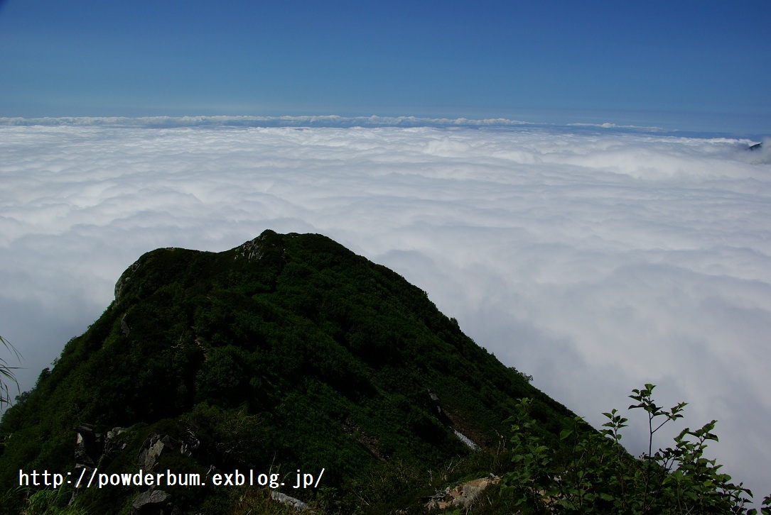 b0062024_842630.jpg