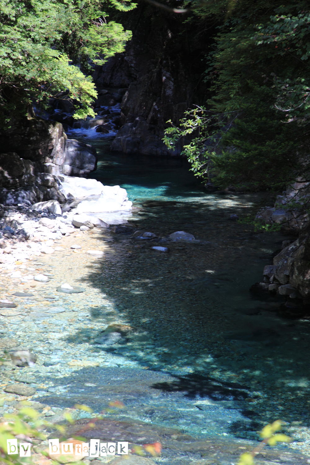 e0220828_1230981.jpg
