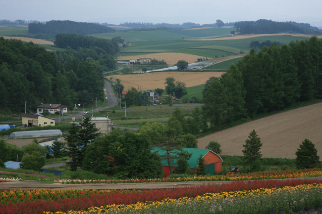 f0017530_21441729.jpg