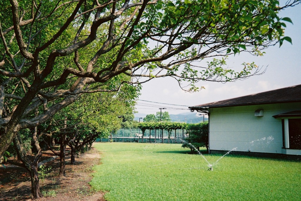 b0269433_23221324.jpg