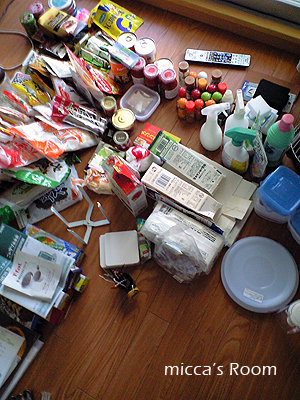 b0245038_20373932.jpg