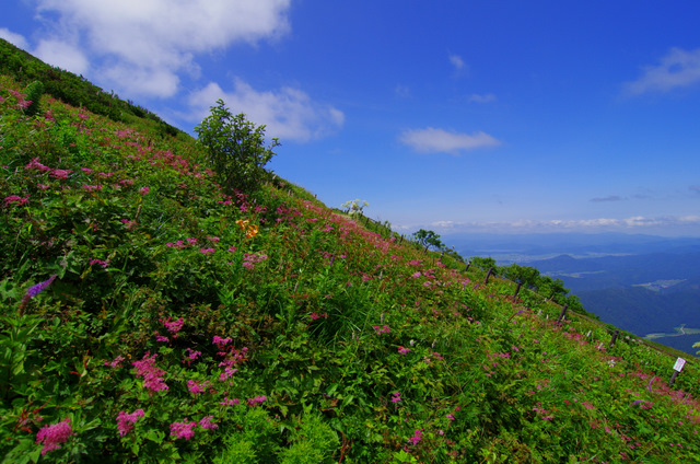 d0186245_14334183.jpg