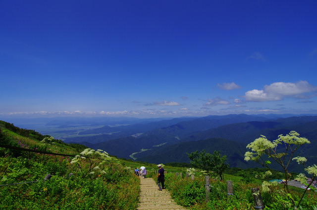 d0186245_14342683.jpg