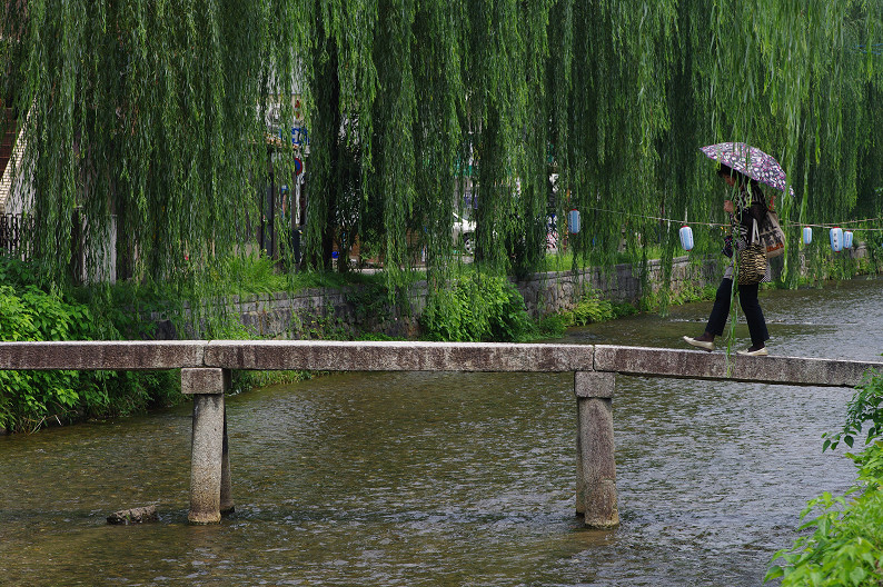 祇園　白川･巽橋で試し撮り．．．_f0152550_1646737.jpg