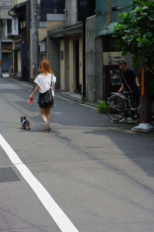 祇園　白川･巽橋で試し撮り．．．_f0152550_16504255.jpg