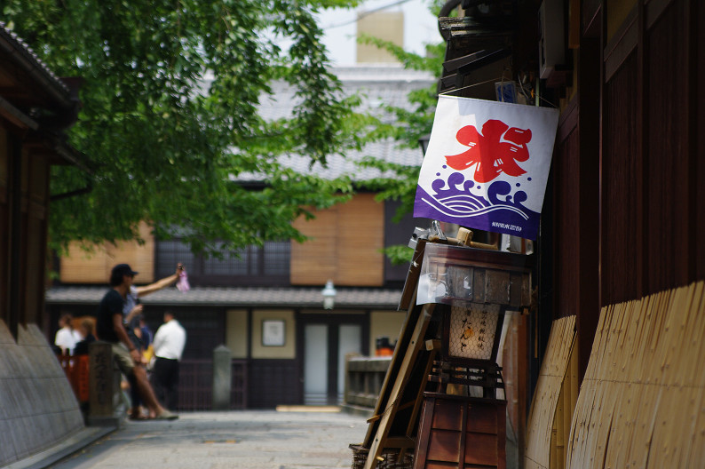 祇園　白川･巽橋で試し撮り．．．_f0152550_16505786.jpg