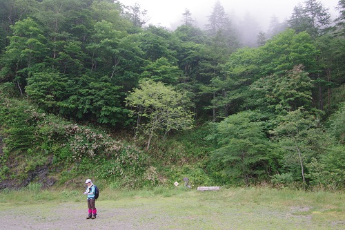 d0164761_8553917.jpg