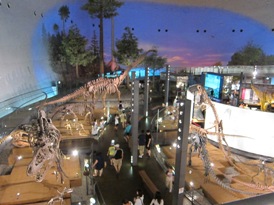 福井・金沢_e0011464_8524597.jpg