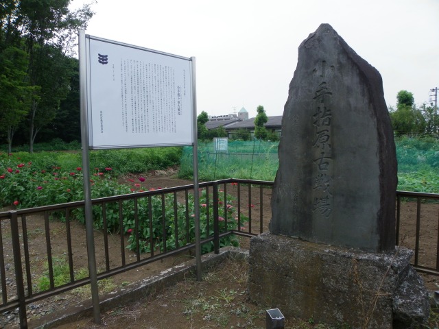 小手指ヶ原古戦場 (埼玉県所沢市)_b0004675_12115542.jpg