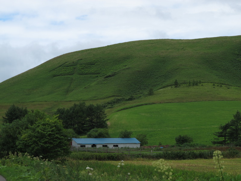 d0042380_23303399.jpg