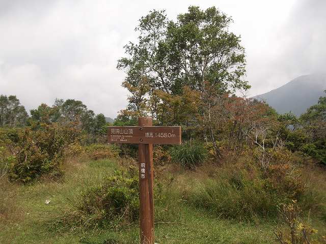 c0212083_2304613.jpg