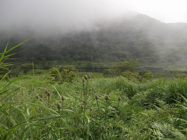 c0212083_23115529.jpg