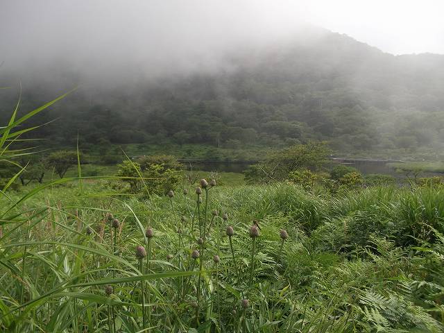 今日の暑さ逃避は「赤城山」_c0212083_23115529.jpg