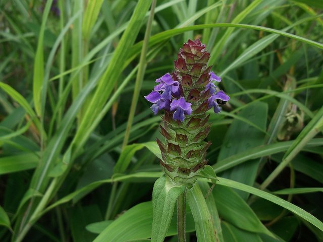c0212083_23142036.jpg