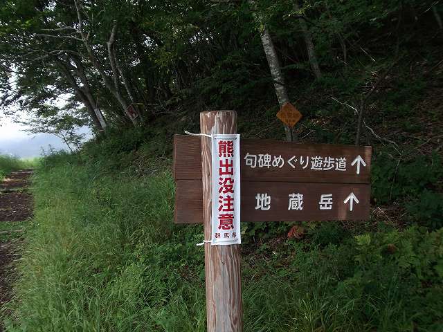 c0212083_2361242.jpg