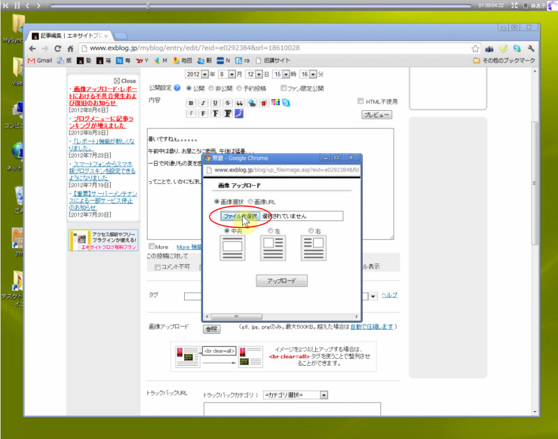 07_写真と文章の投稿_e0272083_204444100.jpg